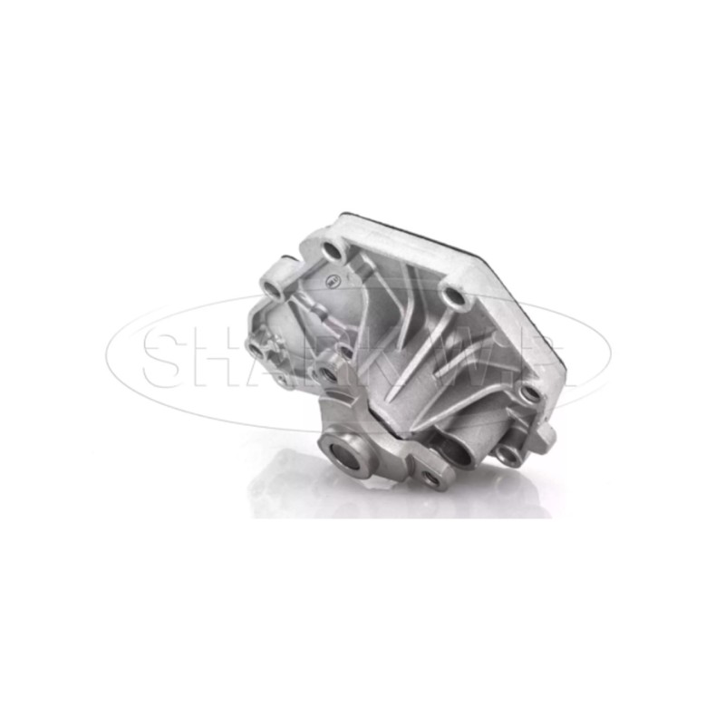 Bomba de agua renault megane l4 2.0 01-04